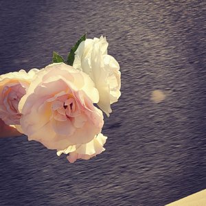 Hardwell-Freeze Time（YZJ Bootleg）（YZJ remix）