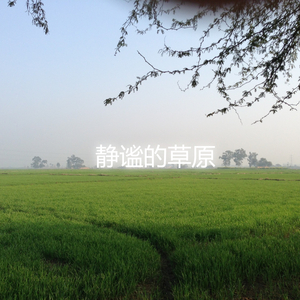 静谧的草原