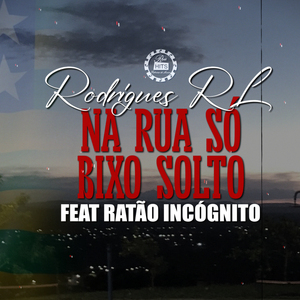 Na Rua Só Bixo Solto