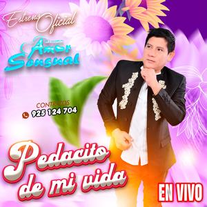 Pedacito de mi vida (En Vivo)