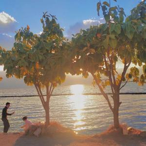 Ding!(prod by Wolf pack beats)