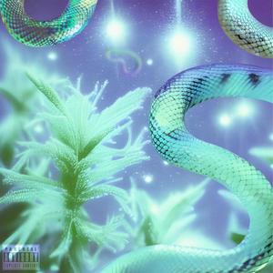 No Caller ID (feat. Slime Dollaz)