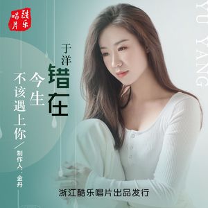 错在今生不该遇见你（DJ沈浪版）