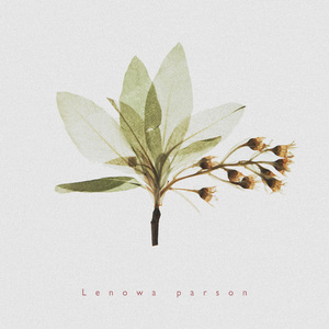 Brudmarsch efter Larshöga Jonke