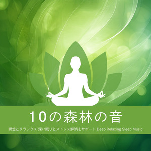 自律神経にやさしい音の処方箋 安らぎの快眠習慣 不眠改善に効くヒーリング (寝落ちのピアノの森)