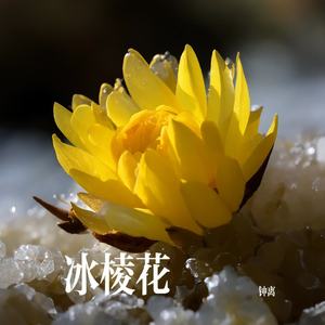 冰棱花