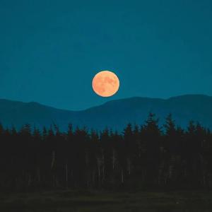 无（Prod. MoDi_dx1）