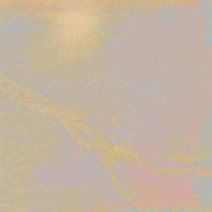 Dissolution