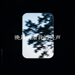晚风吹着我的哭声