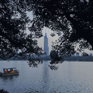 白羊在天上星星在路上