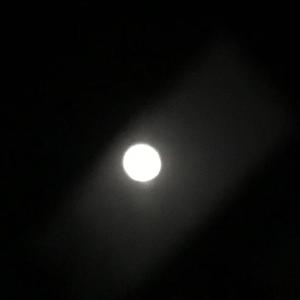 宝藏男孩-关于你（徐瑞 remix）