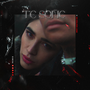 Te Soñé (Remix)
