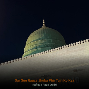 Sar Sue Rauza Jhuka Phir Tujh Ko Kya