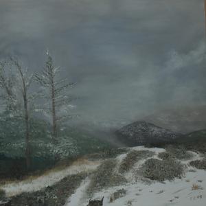 Mis amigos Adela y Pedro