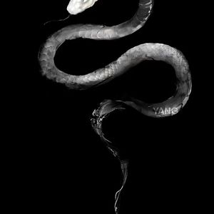 曼陀罗华配音_20241215_163536