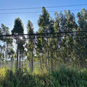 关于爱的二三问