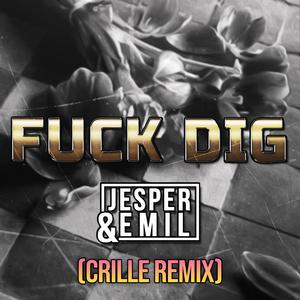 **** Dig (Crille Remix)