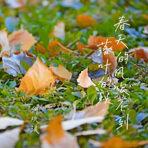 春天的风吹不到落叶的秋
