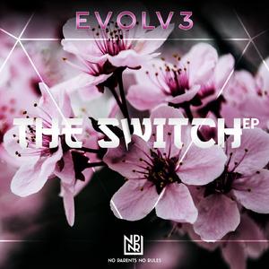 The Switch