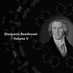 Piano Sonata No. 19 in G minor, Op. 49, No. 1: I. Andante