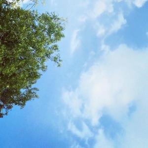 温岚-夏天的风-无主旋律版（M-Zorn remix）