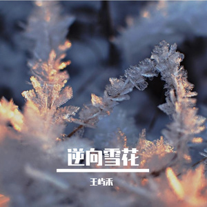 逆向雪花