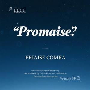 Promise (承诺)