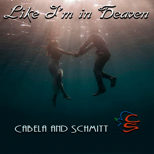 Like I'm in Heaven - MD