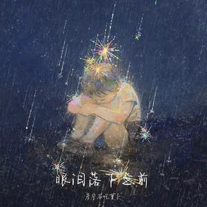 眼泪落下之前（电影《暗恋橘生淮南》插曲cover汪苏泷