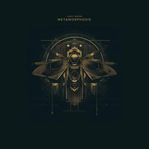 Metamorphosis