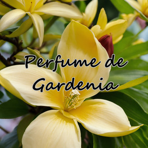 Perfume de Gardenia