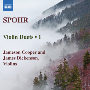 Duo for 2 Violins in A Minor, Op. 67, No. 1:I. Allegro