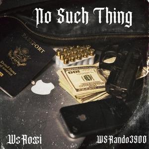 No Such Thing (feat. WSRando3900)