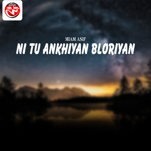 Ni Tu Ankhiyan Bloriyan
