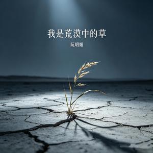 我是荒漠中的草