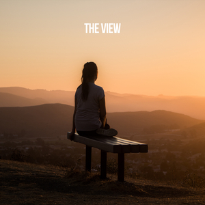 The view