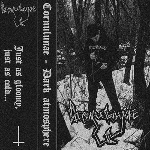 Cornulunae Life Experience