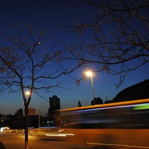 整片花海不见你 (热播完整版)