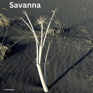 Savanna