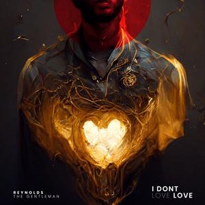 I Don't Love Love