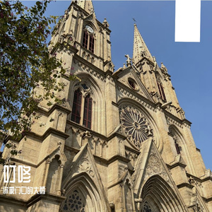 触电（翻刘瑞琦)