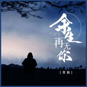 余生再无你