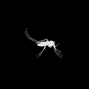 Mosquitoes