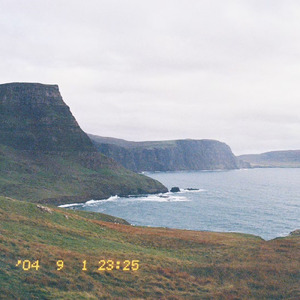 Heartbeats Intertwine