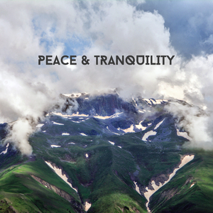 Mechanics Of The Mind