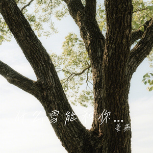 什么雪能和你白头