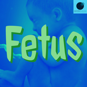 Fetus