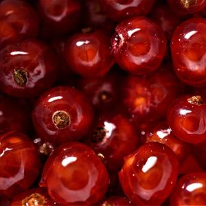 Red Love