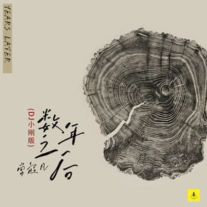 数年之后 (DJ小刚版)