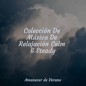 Viaje de Gratitud Armónica